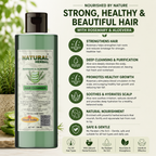 Natural Herbal Rosemary Aloe Vera Shampoo 200ml for men and women
