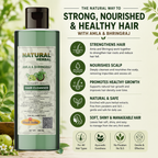 Natural Herbal Khadi Amla Bhringraj Shampoo 200ml and Aloe vera Conditioner 200ml Combo kit