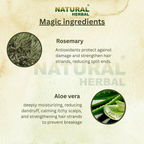 Natural Herbal Rosemary Aloe Vera Shampoo 200ml for men and women