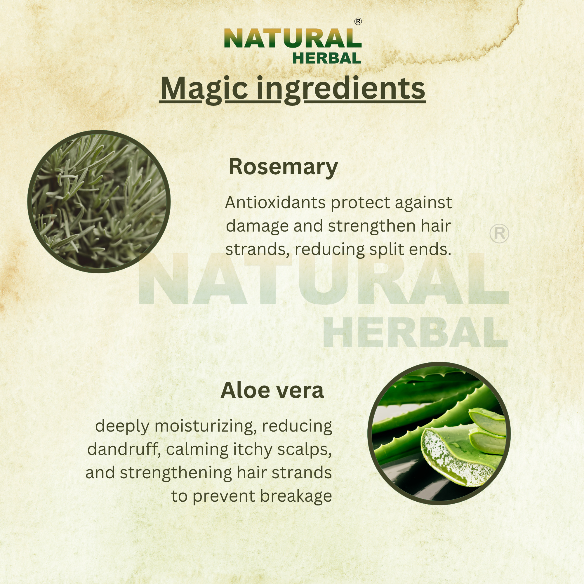 Natural Herbal Rosemary Aloe Vera Shampoo 200ml for men and women