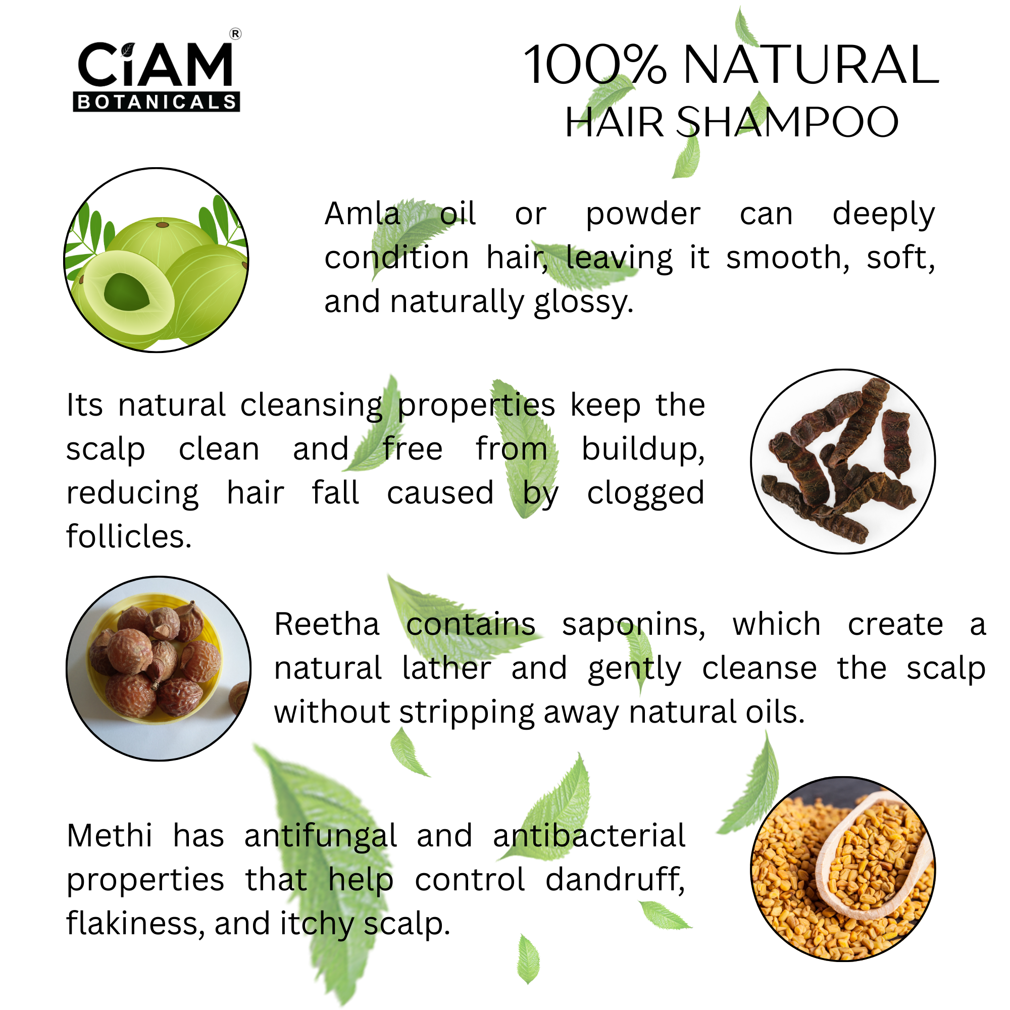 CIAM Botanicals Natural Powder Hair Shampoo With Pure & Herbal Amla, Reetha, Shikakai, Methi Dana Powder, For Men & Women Totally Organic | Paraben And Sulphate Free Shampoo 100g