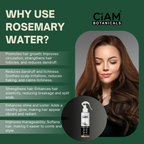 Ciam Rosemary Water Spray For Hair Growth | Reduce Hair Fall & Strengthen Hair 100Ml Pack