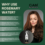 Ciam Rosemary Water Spray For Hair Growth 200ml | Reduce Hair Fall & Strengthen Hair